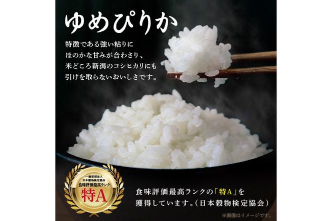 《7営業日以内に発送》令和7年産 厳撰ゆめぴりか 20kg 北海道産 精白米 ( お米 米 白米 北海道 精米 5kg ごはん ライス 特A ふるさと納税 )【080-0098】