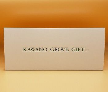 高知県 土佐市産 Konatsu Drink KD 20％ 160ml (6本入) 小夏ジュース ジュース 果物 フルーツ フルーツジュース お取り寄せ ドリンク 高知県 土佐市【川野果樹園】 [BQCB001]