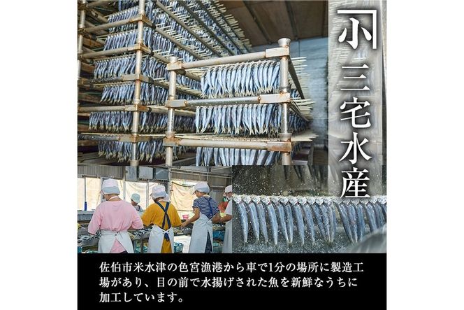 大分アジシャス 鯵の開き 5尾 食べ比べ セット (5種) 鯵 アジ 魚 干物 おつまみ 酒の肴 カレー 七味 バジル 燻製 ガーリック トリュフ セット 詰め合わせ 大分県 佐伯市【ET001】【(有)三宅水産】