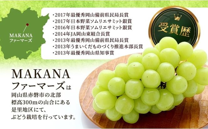 ぶどう 2026年 先行予約 シャイン マスカット 2kg箱 3～5房 大粒 種無し ブドウ 葡萄 岡山県産 国産 フルーツ 果物 ギフト MAKANAファーマーズ 果物類 シャインマスカット[№5735-3592]