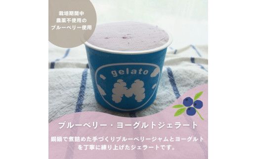 大粒冷凍ブルーベリー1kgと手作りブルーベリーヨーグルトジェラート6個セット ※離島への配送不可