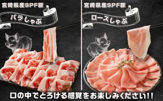 「宮崎SPF豚」しゃぶ鍋3種盛り2.3kgセット_MJ-K902_(都城市) 宮崎県産豚  ロース 肩ローススライス バラ しゃぶしゃぶ 鍋