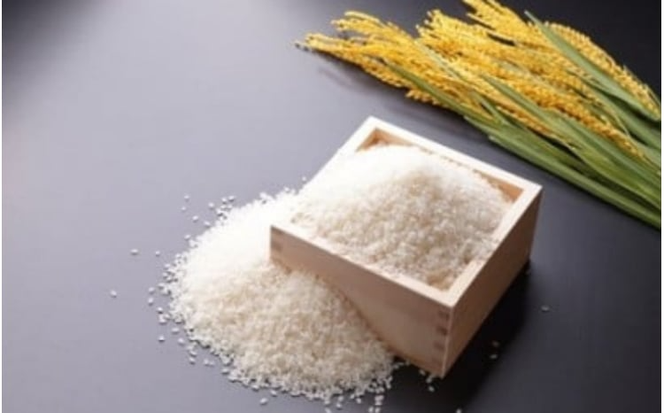 ＜定期便 全12回＞ 令和7年産米 真庭市産 太安さんちのあきたこまち 無洗米 5kg×12回 / お米 国産 岡山県 人気 ブランド 2025年産 【tkns-tkb047-cho】