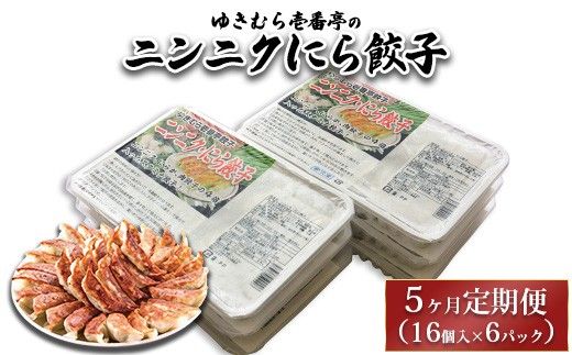 【5ヶ月定期便】ゆきむら壱番亭のニンニクにら餃子6パック(96個入り) ※離島への配送不可