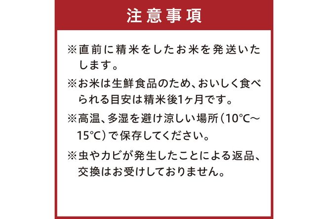令和8年産 特別栽培米コシヒカリ 蔵人（くらんど） 玄米20kg 特別栽培米 コシヒカリ 蔵人 おこめ 京都産 ふるさと納税 玄米 ふるさと納税 コシヒカリ こしひかり　GF00026