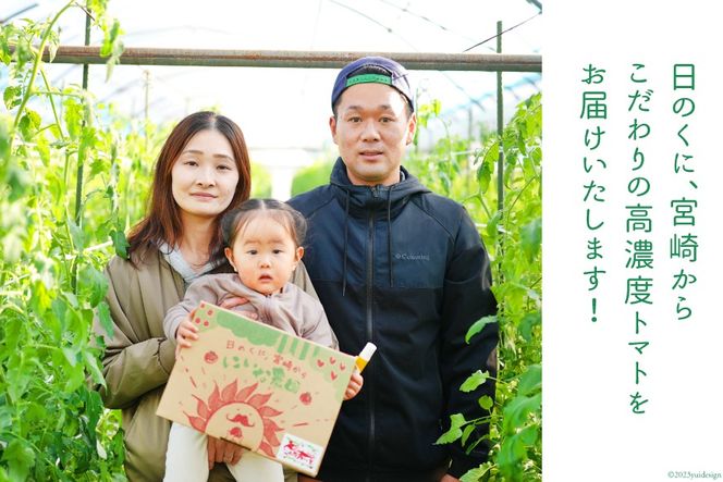 【期間限定発送】 トマト SUNすいーと 1.5kg×1箱 [にいな農園 宮崎県 日向市 452060918] 野菜 フルーツトマト 高糖度 甘い