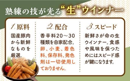 【全12回定期便】生ウインナー 30本 (5本×6種) 糸島市 / 志摩スモークハウス [AOA025] 詰め合わせ ギフト 無着色 ソーセージ お歳暮 お中元 ウィンナー セット