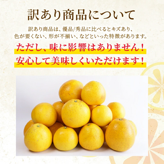 訳あり 河内晩柑 2L サイズ 以上 6玉  (約 3.5kg) サイズミックス 5000円 みかん かわちばんかん ミカン mikan わけあり 愛南ゴールド 家庭用 あいなん ゴールド 美生柑 文旦 派生 和製 グレープフルーツ 産地直送 国産 農家直送 期間限定 数量限定 特産品 人気 甘い おいしい フルーツ 果物 柑橘 蜜柑 アイス ジュース 等に 規格外 大樹農園 愛南町 愛媛県