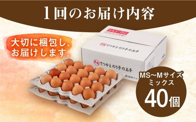 【全12回定期便】てつやとのりこの玉子 【 40個 】 糸島市 / 板垣ファーム 卵 たまご 鶏卵[AWD022]