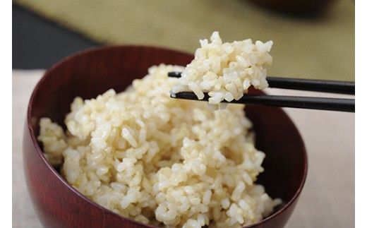 【新米　先行予約】令和8年産すっごいもちもち　「しきゆたか」　玄米【30kg×1袋】【C072W】
