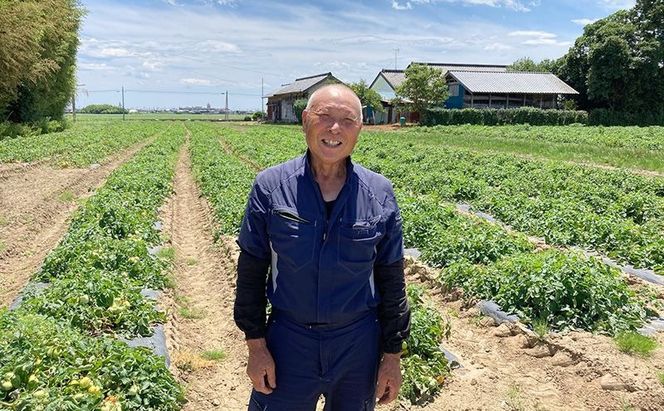 【 令和7年産 】米 ひとめぼれ 精米 5kg 