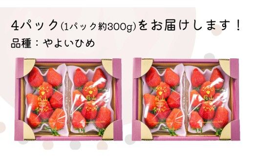 「食べチョクいちごグランプリ2026」味わい部門「ザ・ジューシー賞」受賞 やよいひめ ( 4パック ) 特大 デラックス サイズ 【 2027年1月から発送開始 】  （常陸太田市 共通返礼品 ) 約 300g × 4 パック やよいひめ ヤヨイヒメ 弥生姫 いちご 数量限定 果物 くだもの フルーツ 苺 イチゴ 期間限定