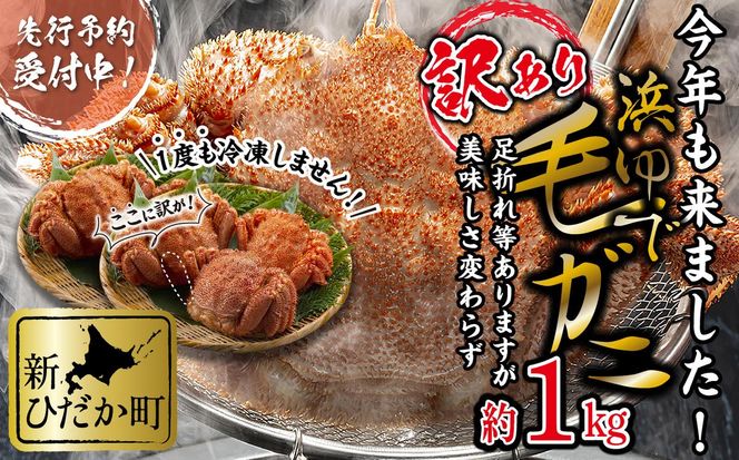 ＜ 2027年2月上旬より発送開始 ＞ 訳あり 北海道産 浜ゆで 毛ガニ 約 1kg 毛蟹 毛がに かに味噌 カニ味噌 ＜ 予約受付 ＞