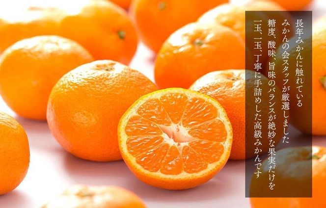 みかん めっちゃうまいんじゃ 木箱入 約5kg（内容量4.3kg） みかんの会厳選 特選品 M S 2S サイズのいずれか 和歌山県産 産地直送 S品 贈答用 ［2025年11月中旬より2026年1月中旬頃順次出荷予定］［みかんの会］ 	AX192