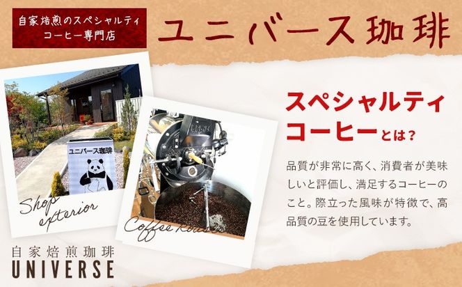 コーヒー豆セット 選べる 豆の形態 種類 コロンビア グアテマラ モカ ブラジル スペシャルブレンド  ユニバース珈琲 《30日以内に出荷予定(土日祝除く)》 コーヒー 豆 セット 飲み比べ【配送不可地域あり】(沖縄・離島)---yuki_yuni_1_cbs---