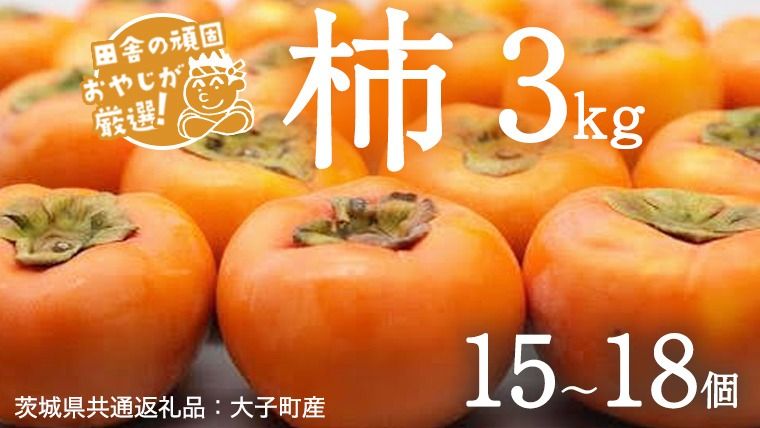 柿 3kg(15〜18個)[2025年10月より発送開始](茨城県共通返礼品:大子町産)柿 かき カキ 果物 フルーツ 茨城県産 [BI428-NT]