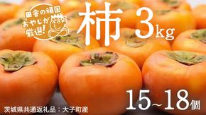 柿 3kg（15〜18個）【2025年10月より発送開始】（茨城県共通返礼品：大子町産）柿 かき カキ 果物 フルーツ 茨城県産 [BI428-NT]