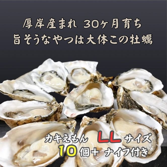 厚岸で産まれ30ヵ月育成 北海道 厚岸産 牡蠣 カキえもん LLサイズ 10個 カキ 