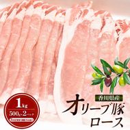 【3回定期便 偶数月お届け】香川県産オリーブ豚ロース1kg(500g×2p) 豚肉 肉 お肉 香川 香川県 東かがわ市