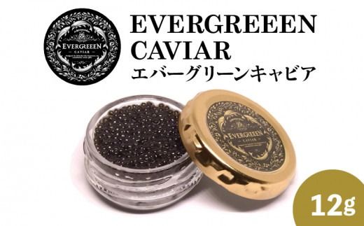 宮崎県産キャビア　EVERGREEEN　CAVIAR　エバーグリーンキャビア　12g　N0183-YC221