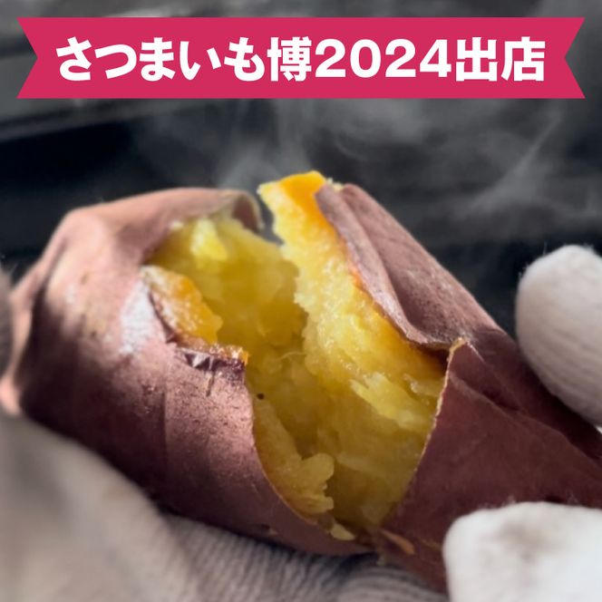 【日本最大級のサツマイモの祭典、さつまいも博2024 出店】はるの優しさ(冷凍やきいも) 約500g｜冷凍 焼芋 焼き芋 やきいも さつまいも さつま芋 熟成 茨城県 行方市 ふるさと納税(GC-1)