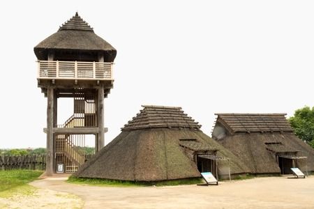 【定期便6回】脊振ジビエ イノシシ肉(ローススライス)800g 【佐賀 佐賀県産 猪 ロース バラ スライス 焼肉 しゃぶしゃぶ 鍋物】(H072123)