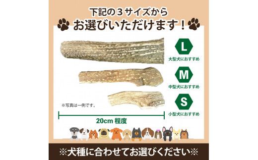 犬が喜ぶおやつ♪ 鹿角 1本 選べるサイズ（S・M・L）【犬 犬のおやつ ペット おもちゃ シカ ツノ 鹿の角 しか つの 鹿 角】