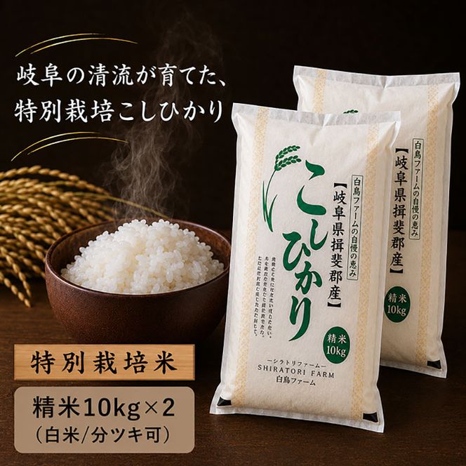 【令和7年産】特別栽培米 20kg【白米、7分ツキ】（コシヒカリ）
