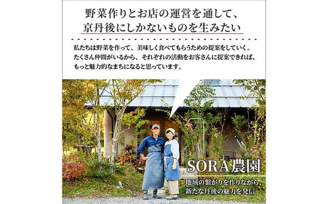 【先行予約6月上旬～順次発送】SORA農園の有機ビーツ3kg　有機野菜 有機農園 オーガニックファーム オーガニック野菜 有機栽培 ビーツ　SN00007