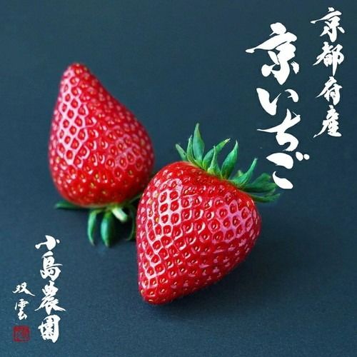 ys{TszV[Y\t   n ̂ 1,000gi250g 4pbNj_ gق Cx[ X^[iCg猵I󂠂  C`S ◣ւ̔zs 2026N1{`5{ɏ\