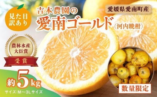 [先行予約]見た目だけが訳あり!吉本農園の木取り完熟愛南ゴールド(河内晩柑)約5kg[柑橘 希少 果物 国産 フルーツ みかん 蜜柑 訳あり 家庭用 和製 グレープフルーツ ブランド 果実 ビタミン 愛媛県 鬼北町 ] ※2025年4月上旬〜8月上旬頃に順次発送予定