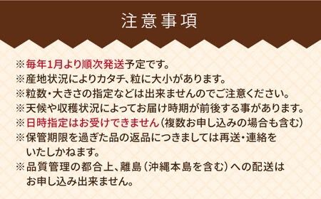 【全2回定期便】【2023年12月上旬より発送】糸島産 あまおう ギフト 箱 毎月600g ( 24-30粒 )糸島市 / 南国フルーツ株式会社 [AIK028]