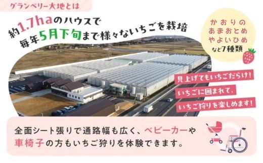 【訳あり】冷凍いちご　1kg