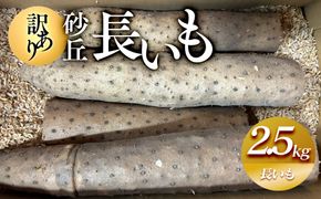 943.【訳あり】砂丘長いも2.5kg  長芋 ながいも 鳥取県産≪野菜 やさい≫※11月上旬頃～5月下旬頃に順次発送予定 313726_AN009