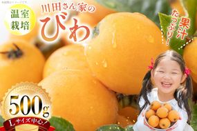 AF220【令和8年度出荷分】果汁たっぷり！川田さん家の温室栽培びわ 500g [びわ ビワ フルーツ 果物 長崎県 島原市]