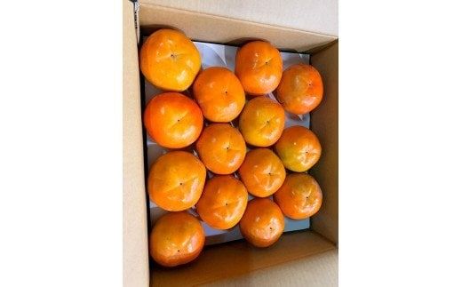 和歌山秋の味覚　富有柿　約7.5kg【uot702A】