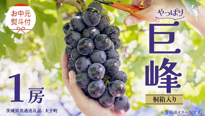 y錧vszy  ˔z  P[ y2026N8{Jnz(錧ʕԗiFq) Ԃǂ  uhE t[c ʕ XC[c Mtg p 蕨 v[g