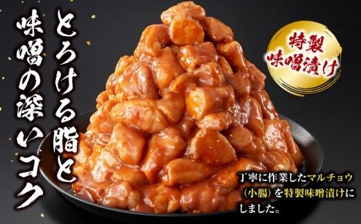 牛マルチョウ 味噌漬け 3kg ( 300g × 10 ) とろける脂 小分け 使いやすい 味付き 調理便利 野菜炒め ホルモン炒め 訳あり 不揃い 小腸 冷凍 配送時期が選べる 個包装 冷凍保存 アウトドア キャンプ おすすめ 人気