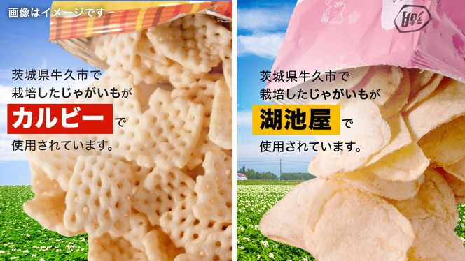 ＼ 最短3営業日！ ／ 【選べる配送方法】カルビー 湖池屋 人気 詰め合わせ お楽しみ スナック菓子 セット 単品24袋 定期便 3 ・ 6か月 ポテトチップス ポテチ お菓子 おかし 大量 Calbee ポテト じゃがいも 頒布会 数量限定