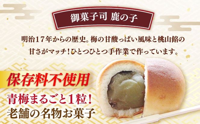 福袋 里山満喫セット （ 餅 / 漬物 / 焼き菓子 ） 《築上町》 和ギフト もち 奈良漬け 和菓子 正月[ABZY017]