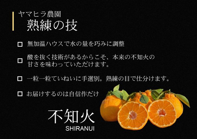 【先行予約】不知火 約5kg 手選別 熟練の技 ヤマヒラ農園 ORYY推奨 BA48