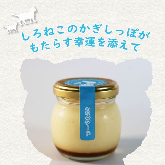 プリン 手作り カスタード プリン  6個セット お菓子 デザート スイーツ おいしい  おやつ 洋菓子 ご褒美 送料無料   静岡県 藤枝市