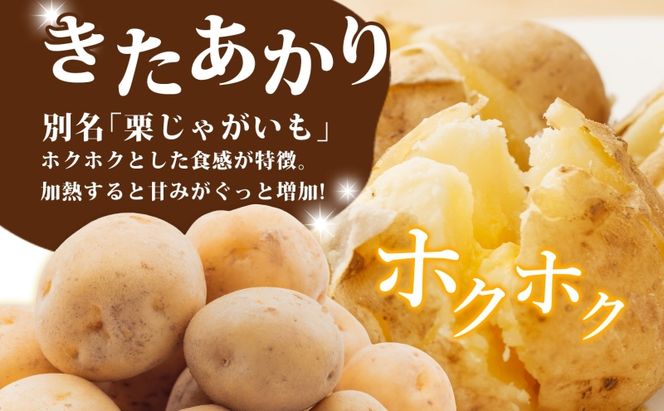 R8年産 先行受付 じゃがいも きたあかり 5kg 2026年9月下旬より順次出荷 栗じゃがいも ホクホク 甘い ポテトサラダ コロッケ 産地直送 お取り寄せ 国産 小野寺農園 北海道 洞爺湖町