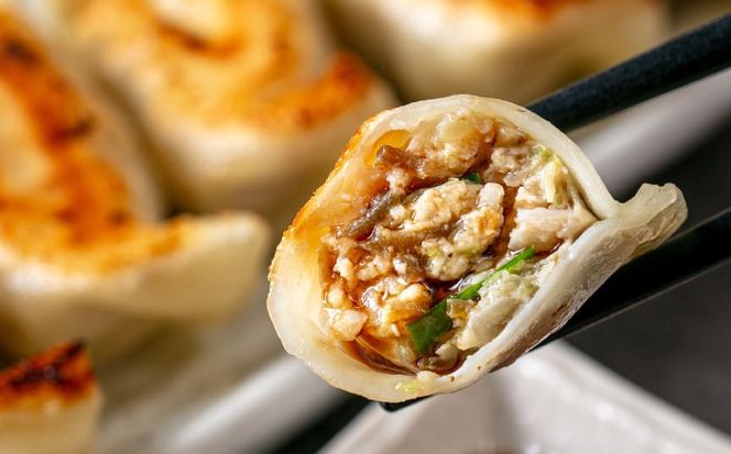 冷凍マグロギョーザ 48個(12個入り4パック) 餃子 冷凍 国産 マグロ 沖縄産 沖縄市 / 沖縄市漁業協同組合 パヤオ直売店[BCDZ011]