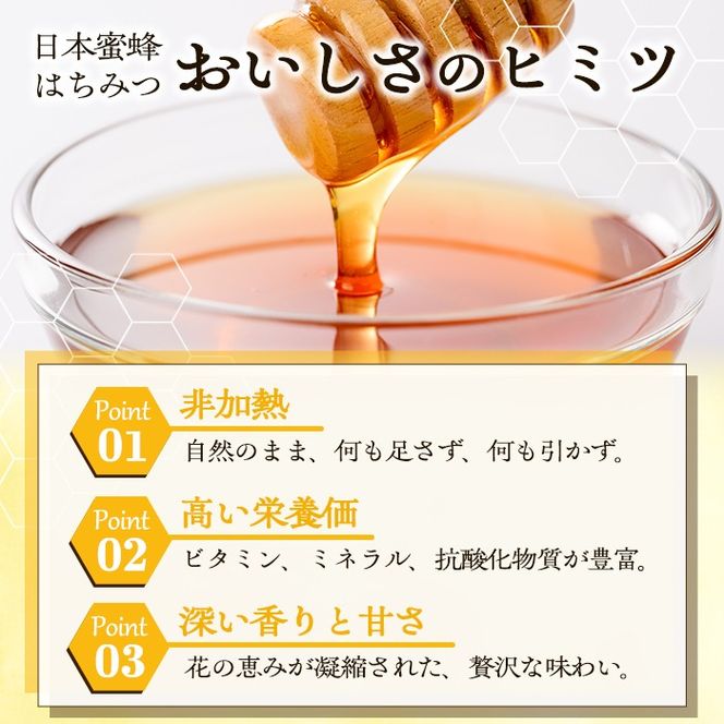 数量限定！日本蜜蜂 はちみつ(300g) 国産 蜂蜜 ハチミツ 日本ミツバチ 非加熱 ハニー ボトル 【三九】akn006-17