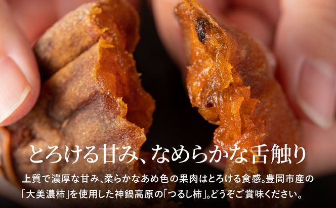 つるし柿 縄のれん10個 神鍋特産 ご自宅用 / 神鍋高原 つるし柿 ドライフルーツ 干し柿 干柿 ほしがき 大美濃柿 縄のれん お取り寄せ 果物 柿 フルーツ 高糖度 国産 兵庫 産地直送 お菓子 和菓子 自然食品