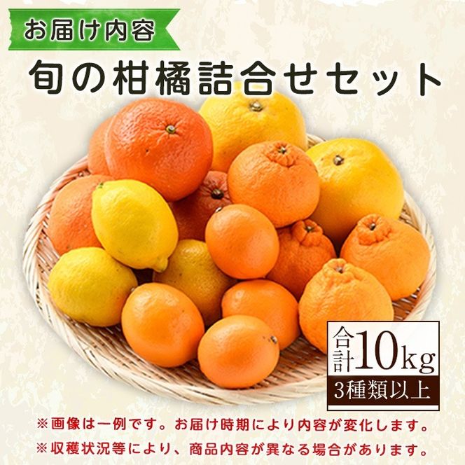 ＜先行予約受付中！2026年3月発送分！＞旬の柑橘詰合せセット (約10kg) 国産 鹿児島県 阿久根市 果実 果物 フルーツ 柑橘 みかん ミカン 旬 詰め合わせ セット【桐野柑橘株式会社】akn070-16-m03