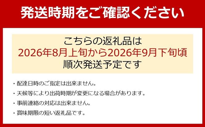 ぶどうの王様 農家直送 朝採り 巨峰 約3kg ［2026年・先行予約］ AO059