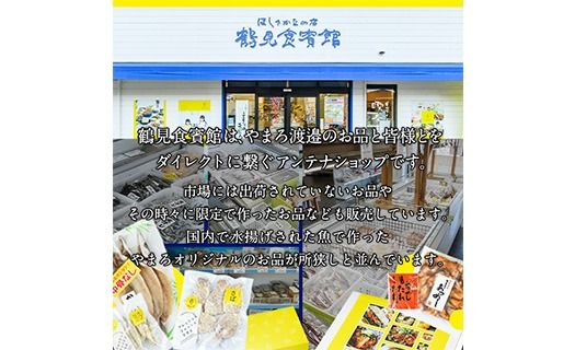 ＜訳あり＞ 厳選 干物 お試し版 (総量10枚) 簡単 調理 干物 あじ かます さば ぶり ぶりかま 開き 魚 海鮮 冷凍 詰め合わせ 大分県 佐伯市 やまろ渡邉【DL33】【鶴見食賓館】