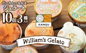 【3種のフレーバーを食べ比べ!!】だいちとつながるジェラート10個セット 映えるデザインが可愛いと話題に!! マドンナキャロット 地元野菜 甘い アイス スイーツ デザート 洋菓子 可愛い 詰め合わせ キャロットミルク フルーツサラダ ピーナッツミルク 自慢 冷たい にんじん 人参 落花生 ピーナッツ 農家 神重農産 H105-171